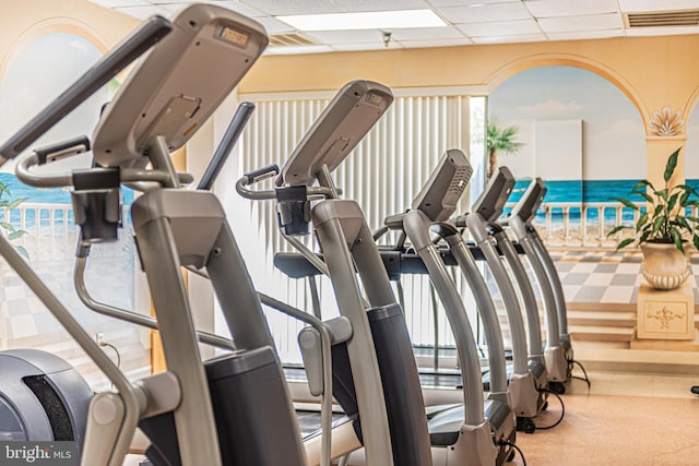 gym featuring a paneled ceiling and carpet flooring