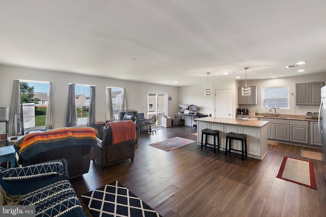 living room with dark hardwood / wood-style floors and sink