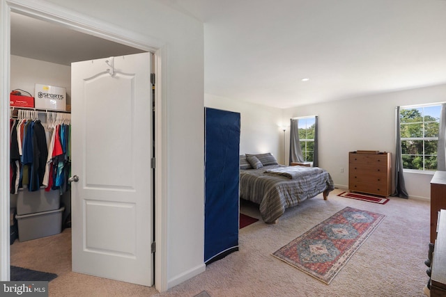 bedroom with carpet floors, a closet, multiple windows, and a spacious closet