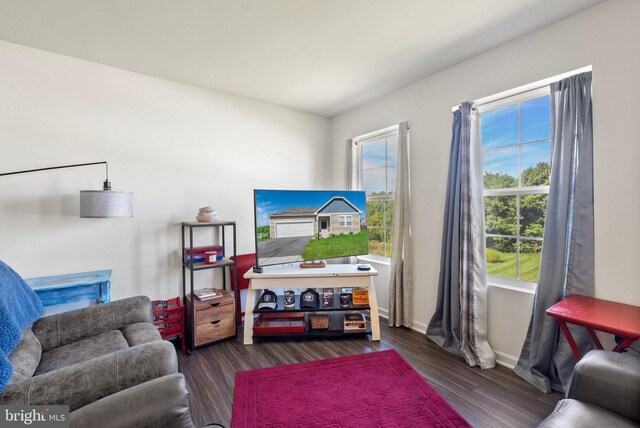 living room with dark wood-type flooring