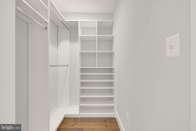 spacious closet featuring wood finished floors