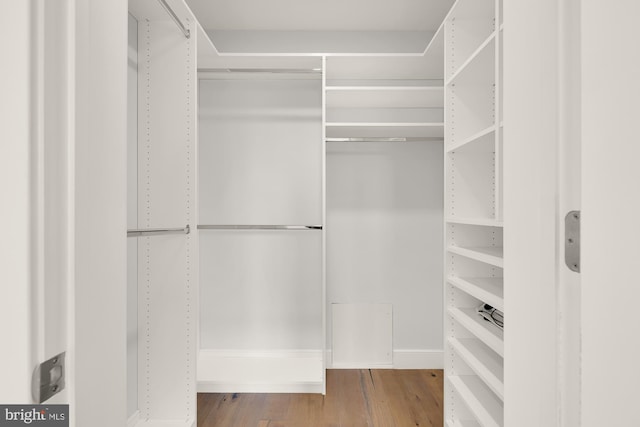 walk in closet featuring wood finished floors