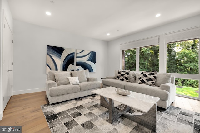 living room featuring a wealth of natural light and hardwood / wood-style flooring