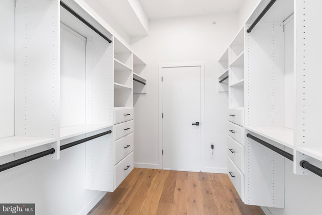 spacious closet with light hardwood / wood-style flooring