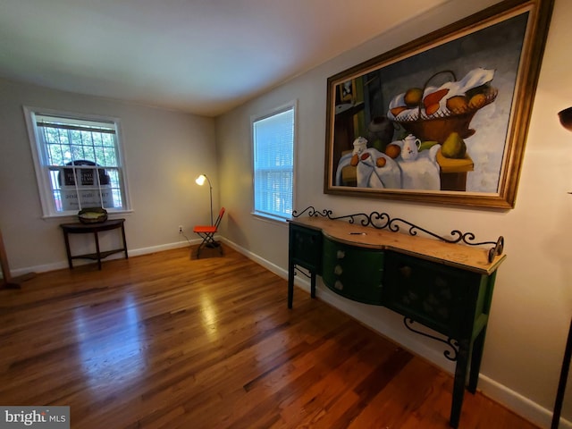 interior space with dark wood-type flooring