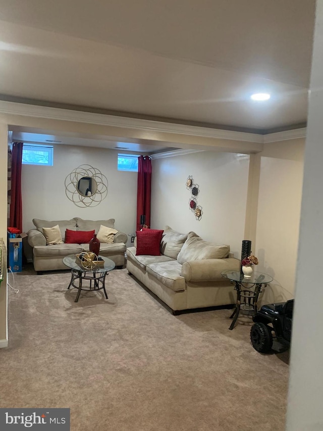 living room with ornamental molding, a wealth of natural light, and carpet