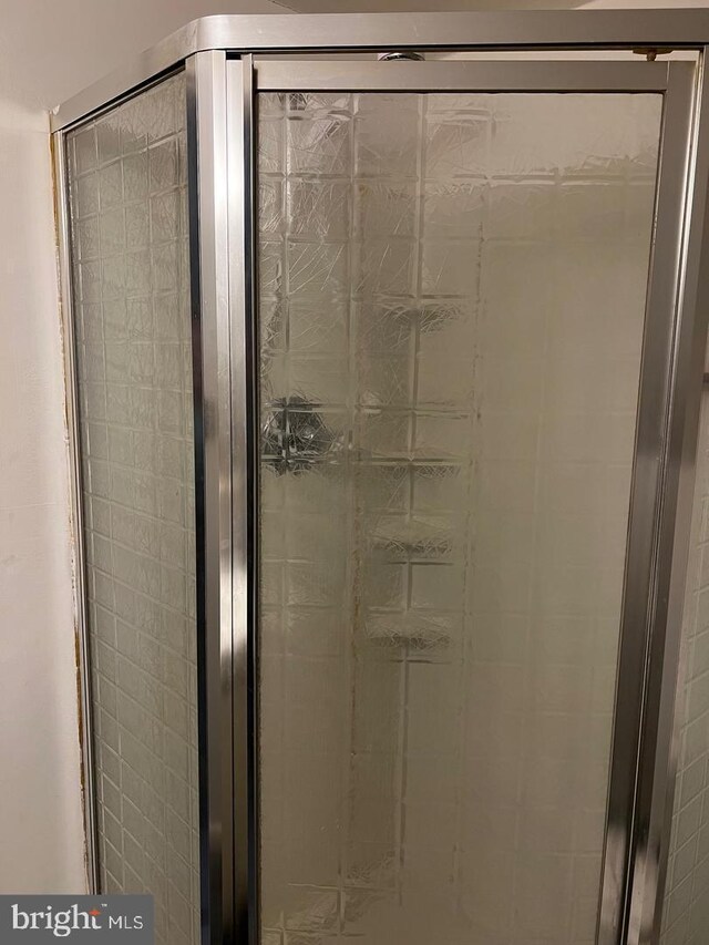 details featuring a shower with door