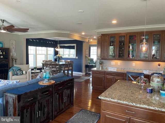 kitchen with dark hardwood / wood-style flooring, crown molding, ceiling fan, decorative light fixtures, and dark brown cabinetry