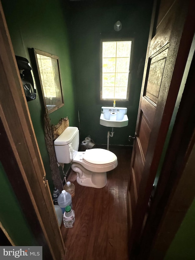 bathroom with toilet, sink, and wood-type flooring