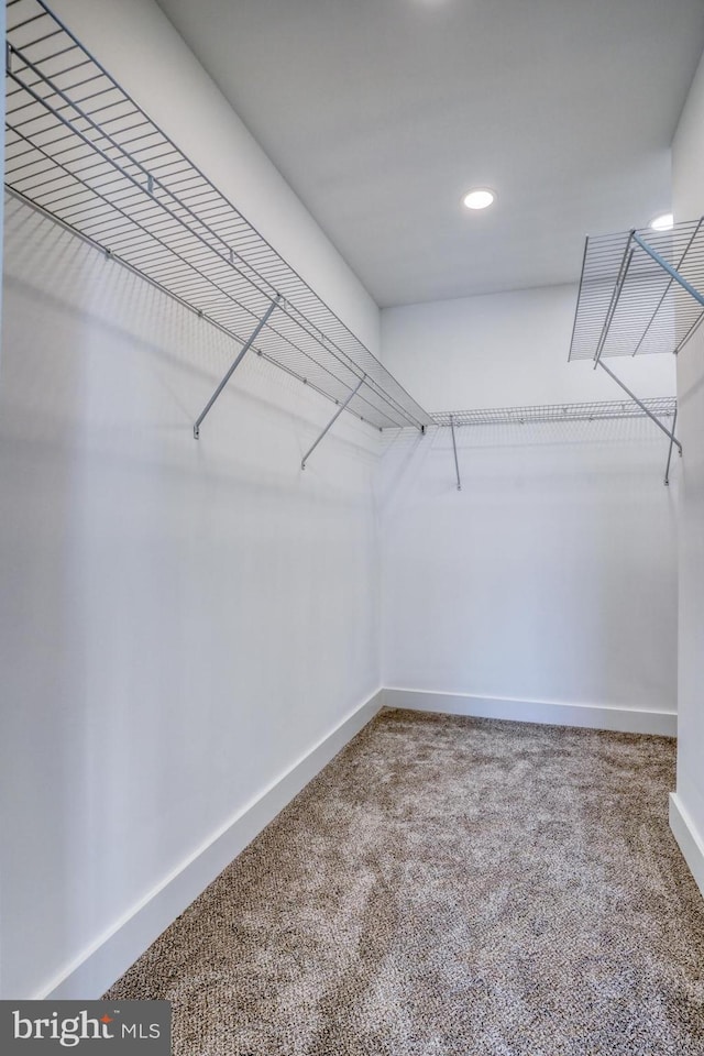 6643 Sharptown Rd, Laurel, DE 19956 - spacious closet with carpet flooring