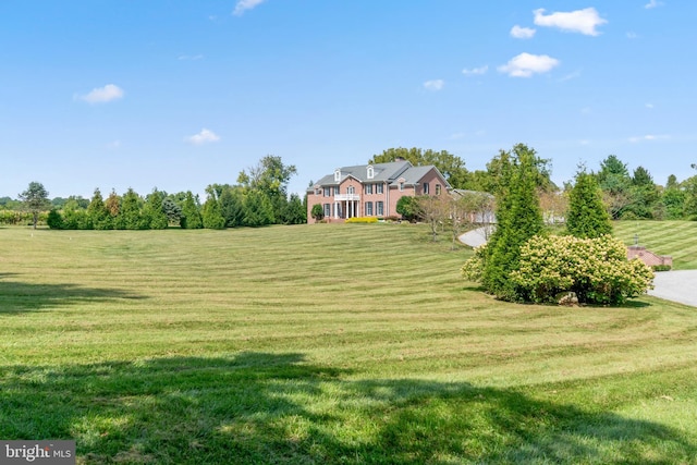 view of yard featuring a rural view