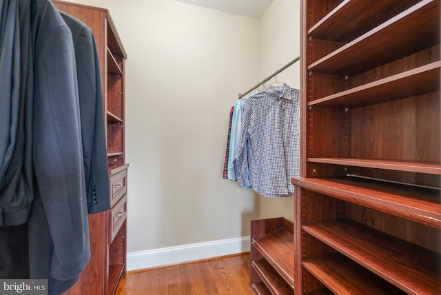 spacious closet with hardwood / wood-style floors