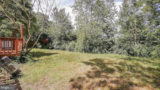 view of yard featuring a wooden deck