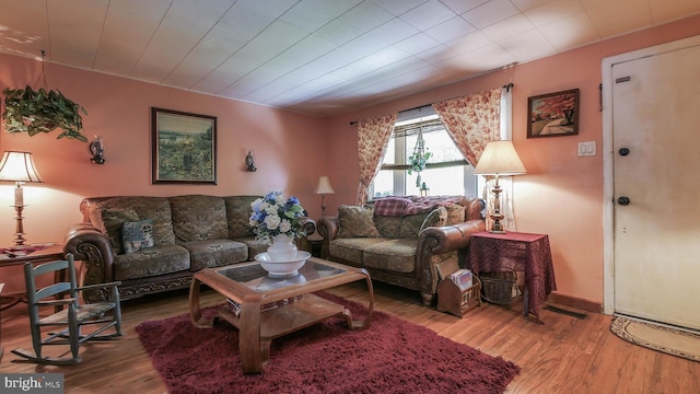 living room with wood-type flooring