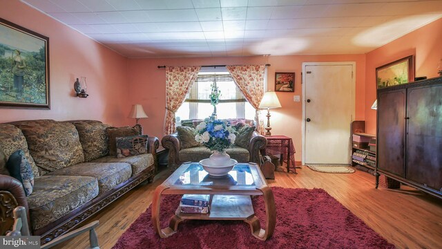 living room featuring hardwood / wood-style flooring