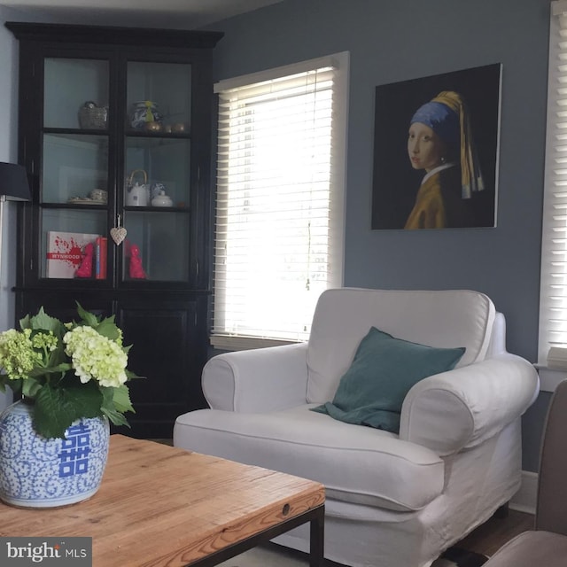 sitting room with plenty of natural light