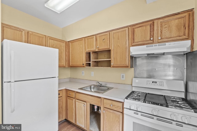 kitchen featuring light wood-type flooring, sink, and white appliances