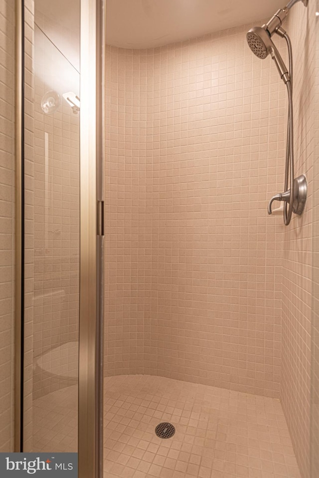 bathroom featuring a shower with shower door