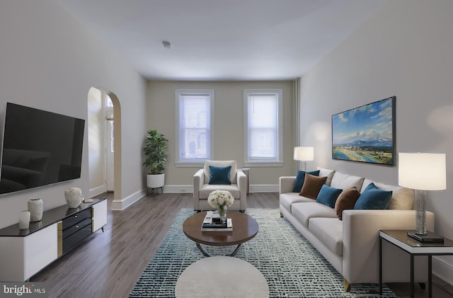 living room with hardwood / wood-style flooring