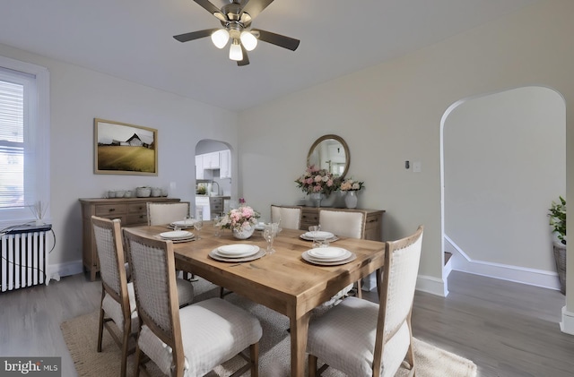 dining area with ceiling fan and light hardwood / wood-style flooring