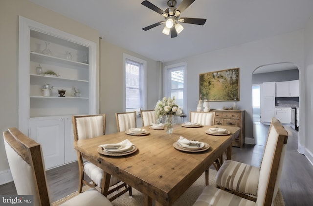 dining room with a wealth of natural light, ceiling fan, and dark hardwood / wood-style floors