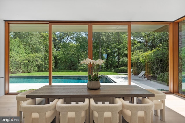 unfurnished dining area featuring light wood-type flooring and a healthy amount of sunlight