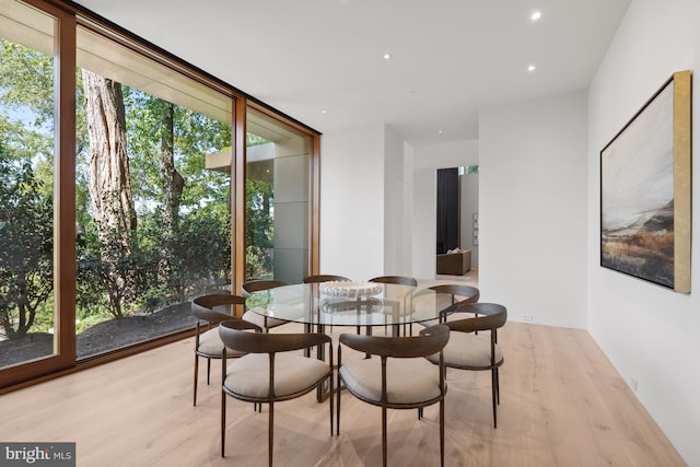 dining room featuring light hardwood / wood-style flooring and a wealth of natural light