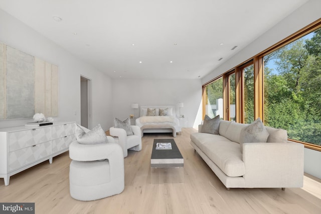 living room with light wood-type flooring