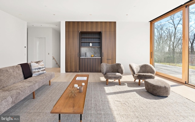 living room featuring light hardwood / wood-style flooring and a healthy amount of sunlight