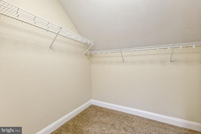 spacious closet featuring carpet floors