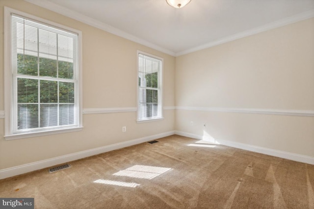 spare room with carpet flooring and crown molding