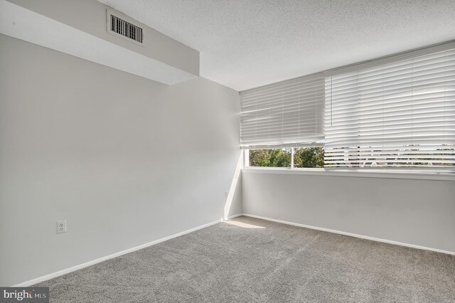 carpeted spare room with a textured ceiling