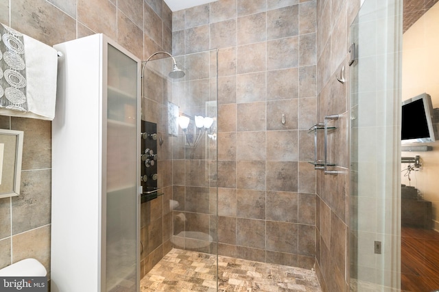 full bathroom featuring a shower stall and toilet