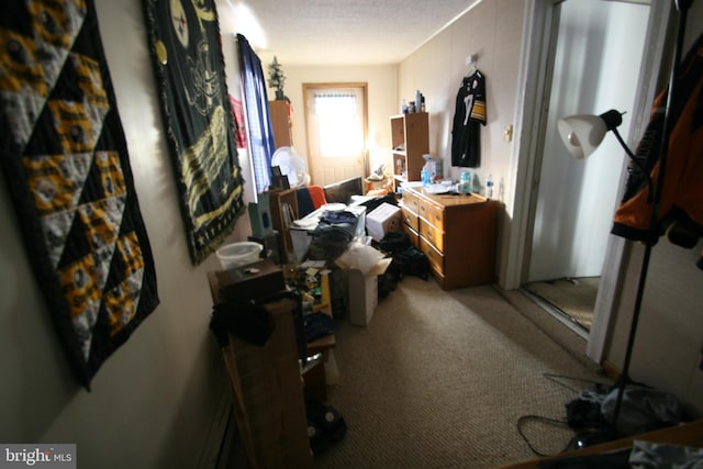 361 Ridgley, Orbisonia, PA 17243 - bedroom with carpet flooring
