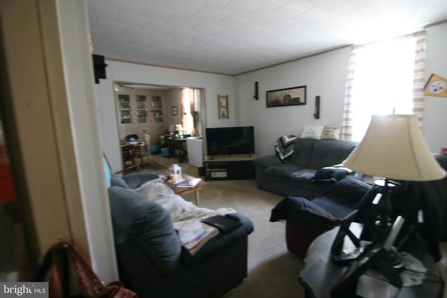 361 Ridgley, Orbisonia, PA 17243 - living area with carpet floors and crown molding