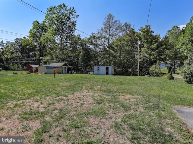 view of yard with a storage shed