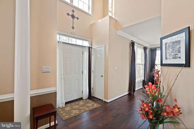 foyer entrance featuring a towering ceiling and dark hardwood / wood-style floors