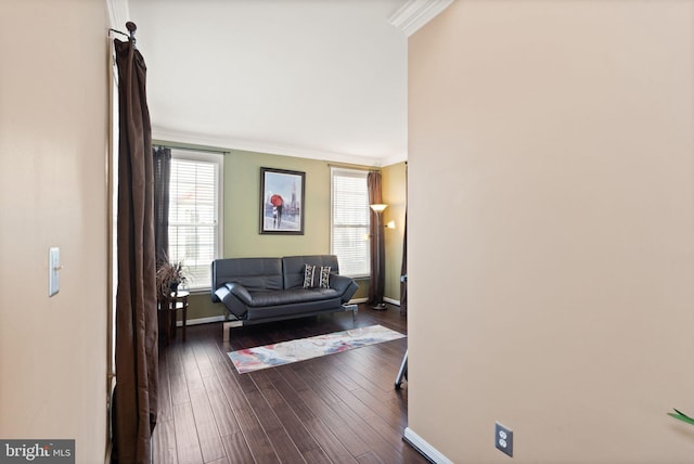 hall featuring wood-type flooring and crown molding