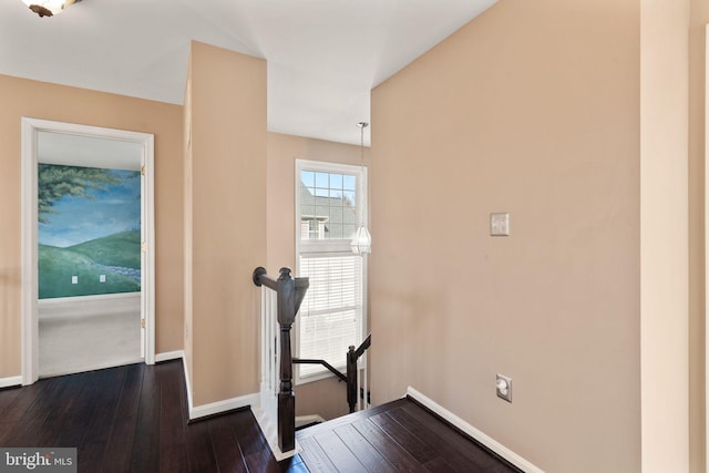 hall featuring dark hardwood / wood-style floors