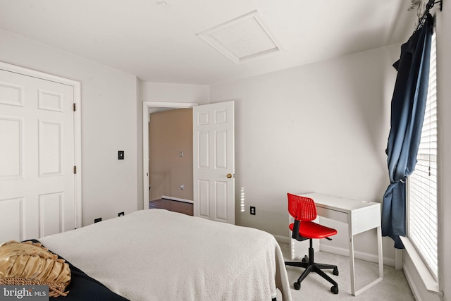 carpeted bedroom with multiple windows