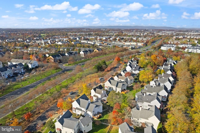 bird's eye view