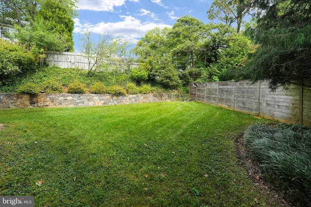 view of yard with a fenced backyard