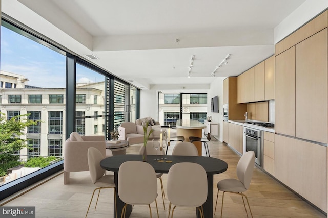 dining area with light hardwood / wood-style flooring, rail lighting, and a wealth of natural light