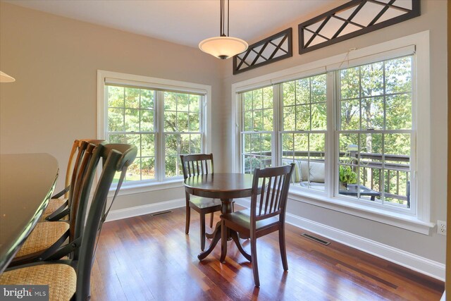 dining space featuring dark wood-type flooring