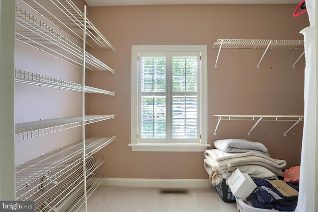 walk in closet featuring carpet flooring