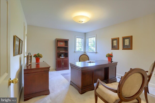 office with light colored carpet