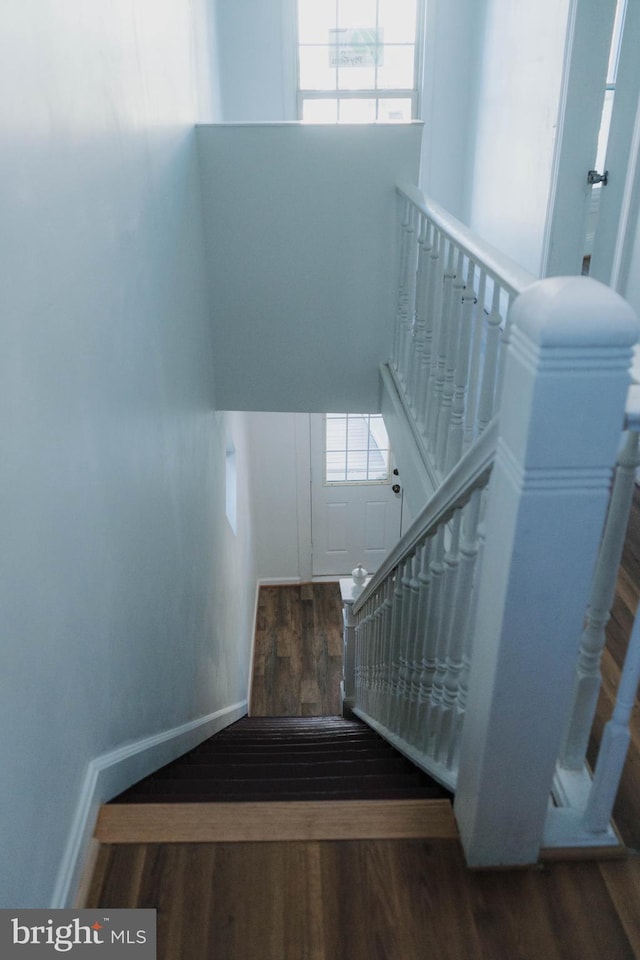 staircase featuring wood-type flooring