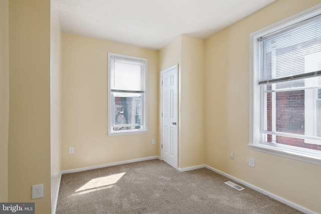 carpeted spare room with a wealth of natural light