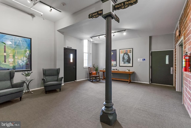 interior space with carpet flooring and track lighting