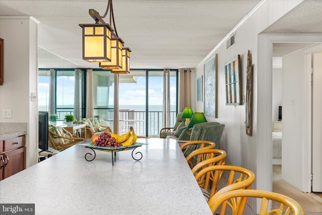 dining space featuring a textured ceiling, a healthy amount of sunlight, and a wall of windows